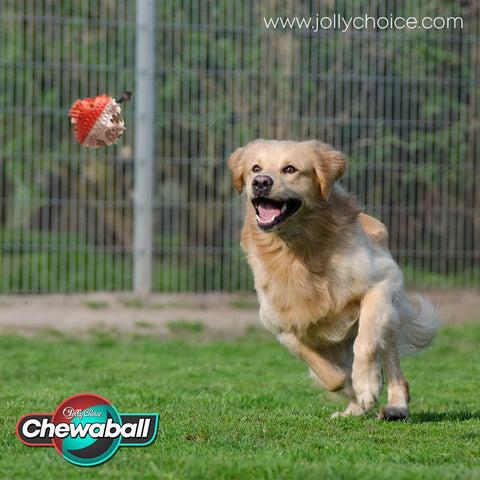 Image of JollyChoice™ Chewaball