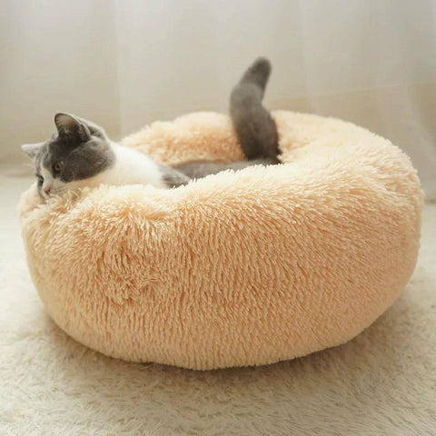 Image of Jolly Pet Deluxe Bed