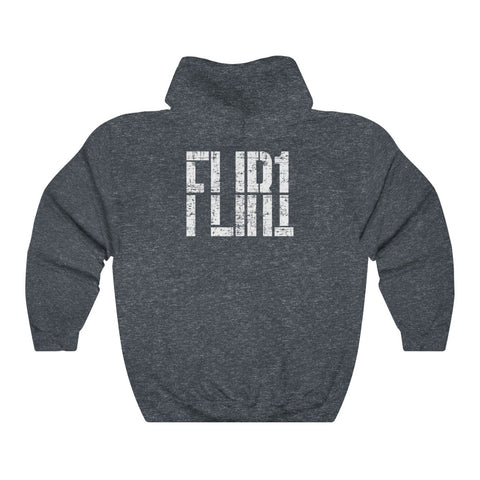 Image of Flir1 "Tic-Tac" UFO Hooded Sweatshirt